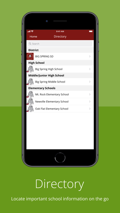 Big Spring School District Screenshot