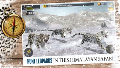 Animal Hunting Games Gun Games Screenshot