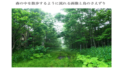 癒しの音と写真で自律神経整えるRelaxPhotoSound Screenshot