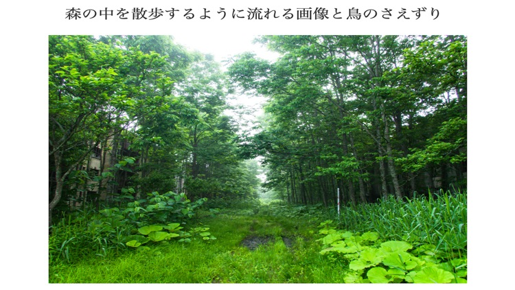 癒しの音と写真で自律神経整えるRelaxPhotoSound