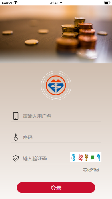 泰山融租 Screenshot