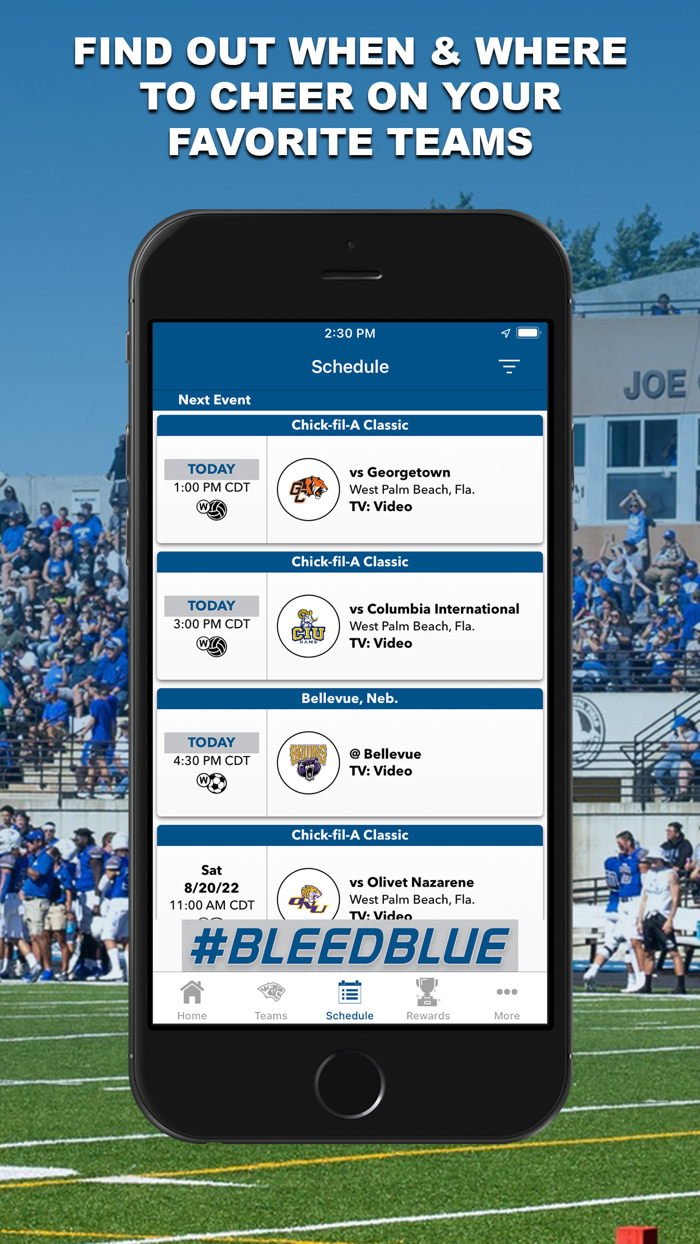 Dakota Wesleyan Tigers