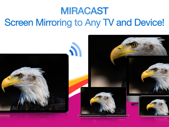 Screenshot #4 pour Miracast + Screen Mirror