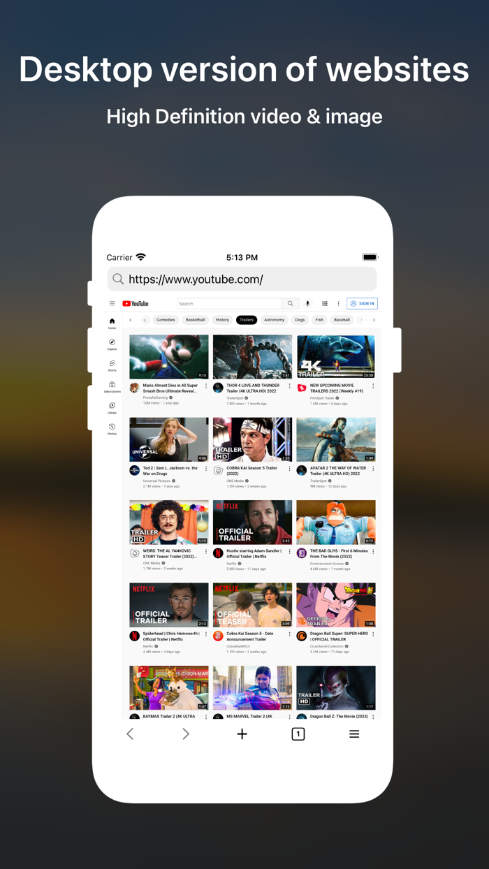 DTNet - Desktop Browser