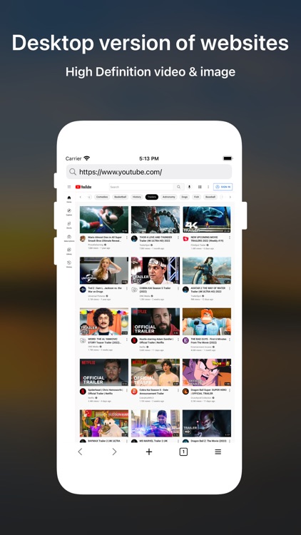 DTNet - Desktop Browser