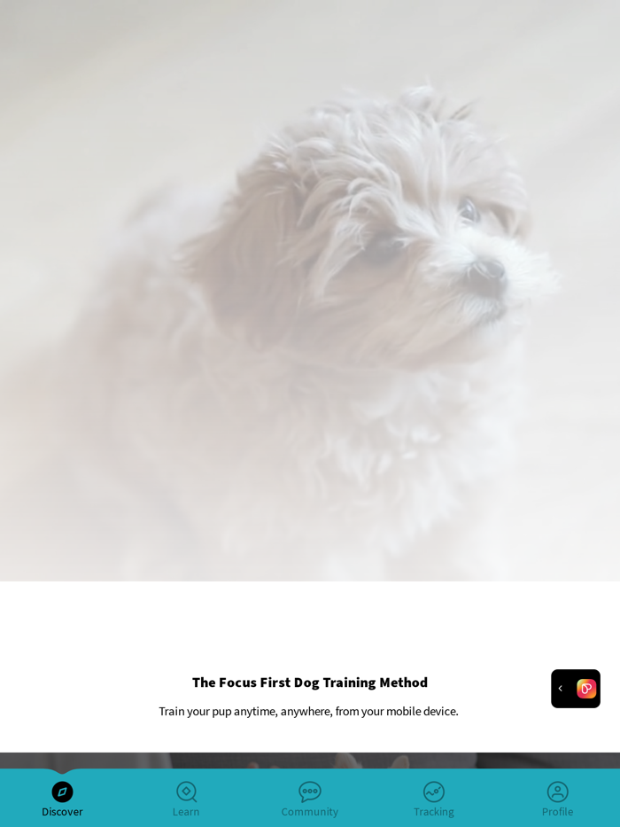 Pawsome Pups Academy