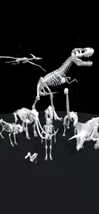 Assemble Skeleton screenshot #4 for iPhone