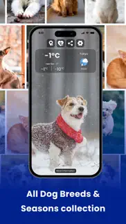 weather kitty - cute cat radar iphone screenshot 2