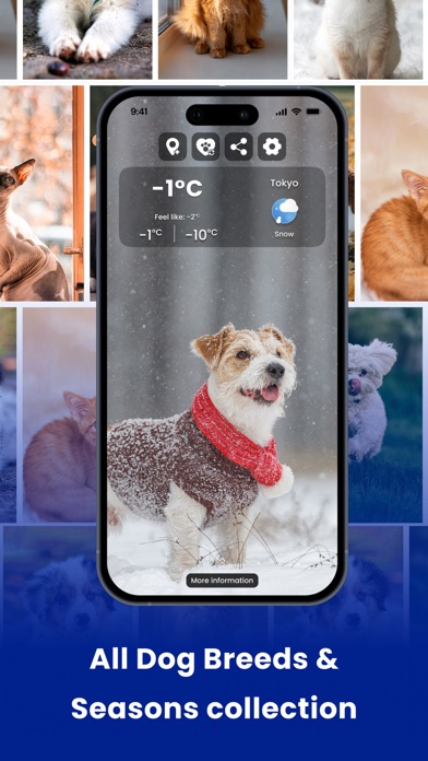Weather Kitty - Cute Cat radar Screenshot