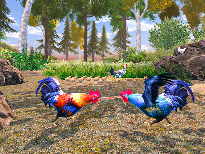 Wild Rooster Chicken Simulator