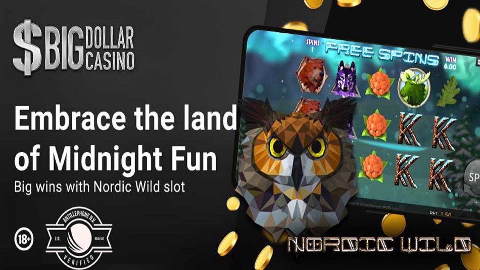 Big Dollar Online Casino - 1.0 - (iOS)