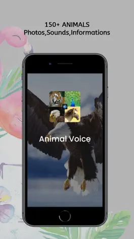 Game screenshot Animal Birds Noises mod apk