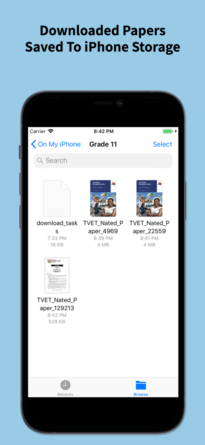 Grade 11 Exam Papers