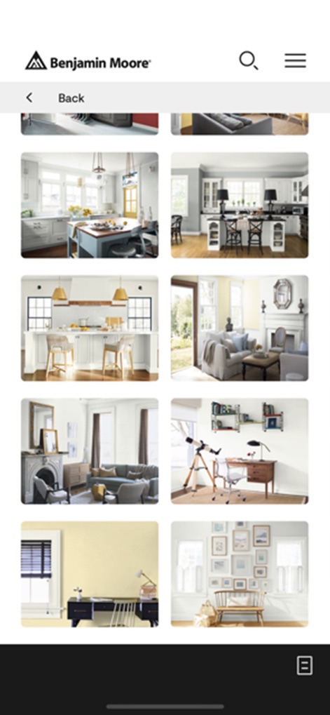 Color Portfolio - Lifestyle App | MWM