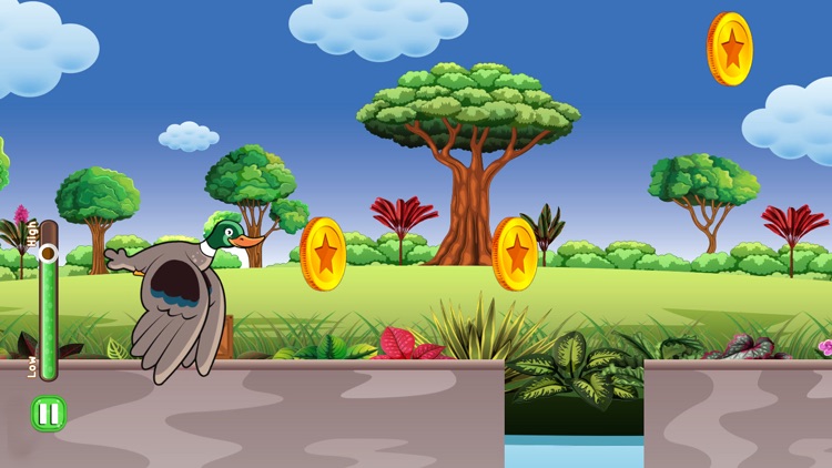 Scream and Save : Bird Fly