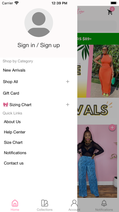 Preppy Chicks Boutique Screenshot