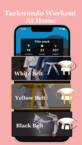 Game screenshot Taekwondo Workout At Home apk