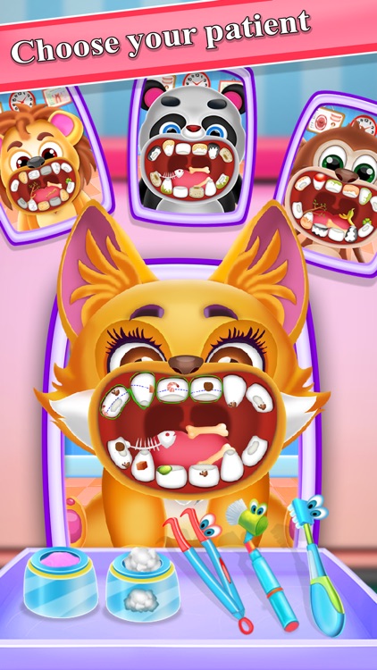 Animals Dentist : Doctors care