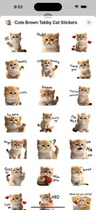Cute Brown Tabby Cat Stickers screenshot #2 for iPhone