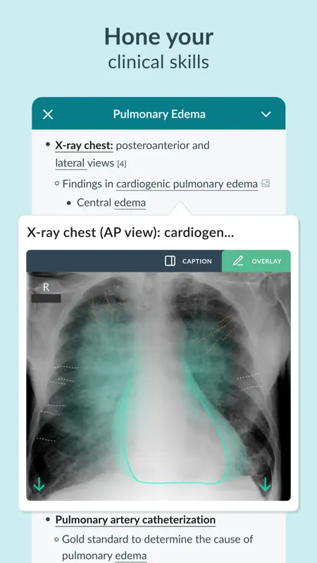 AMBOSS Medical Knowledge screenshot 3 of 8