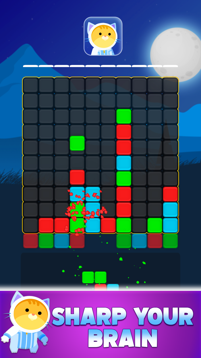 Blocky Color Match Puzzle