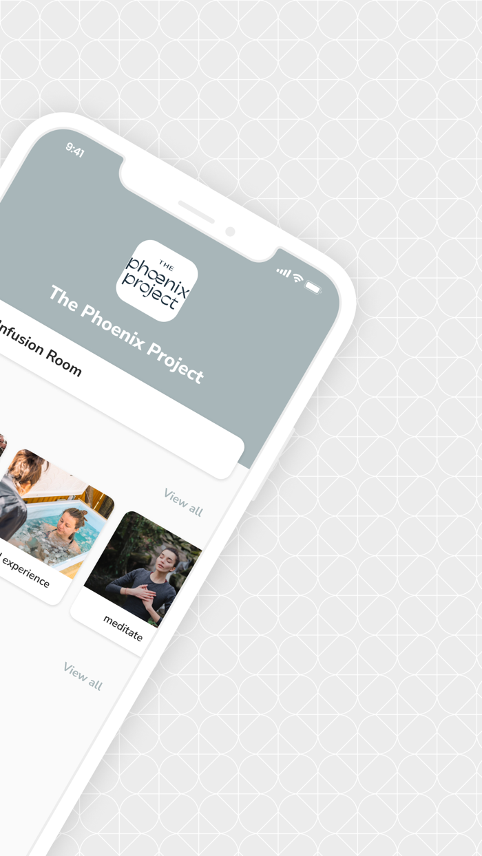 The Phoenix Project New