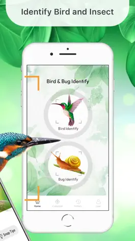 Game screenshot Bird Identifier By Sound ID apk