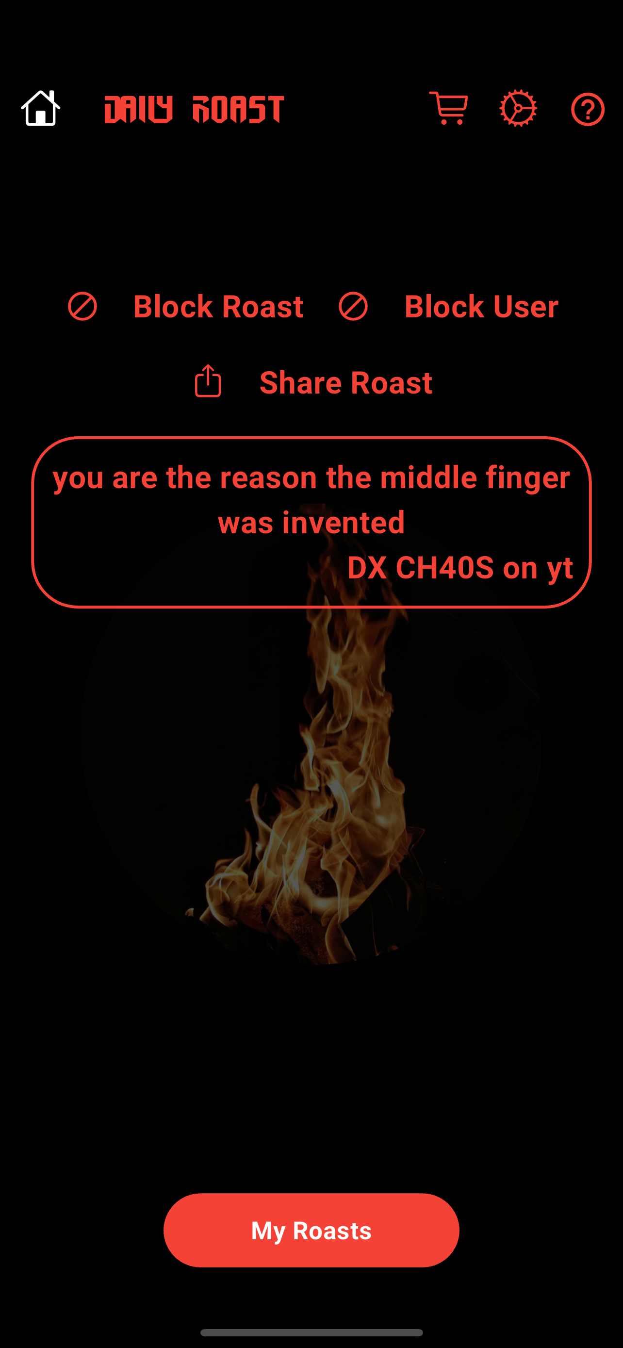Daily Roast