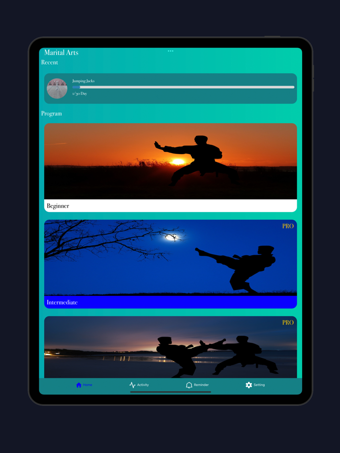 Martial Arts Trainer at home