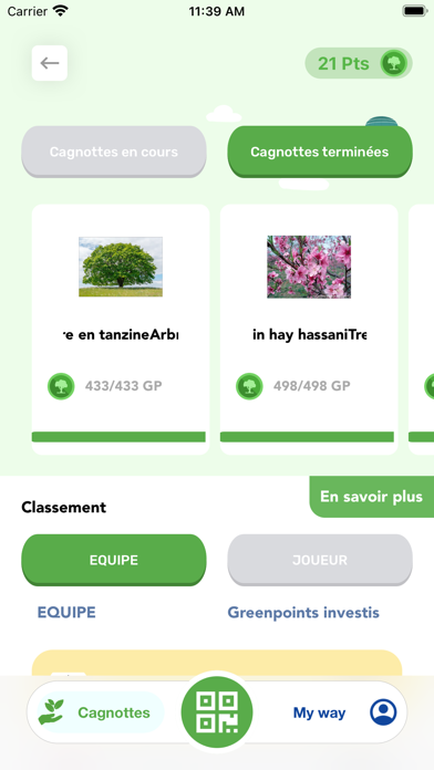 GreenWays Screenshot
