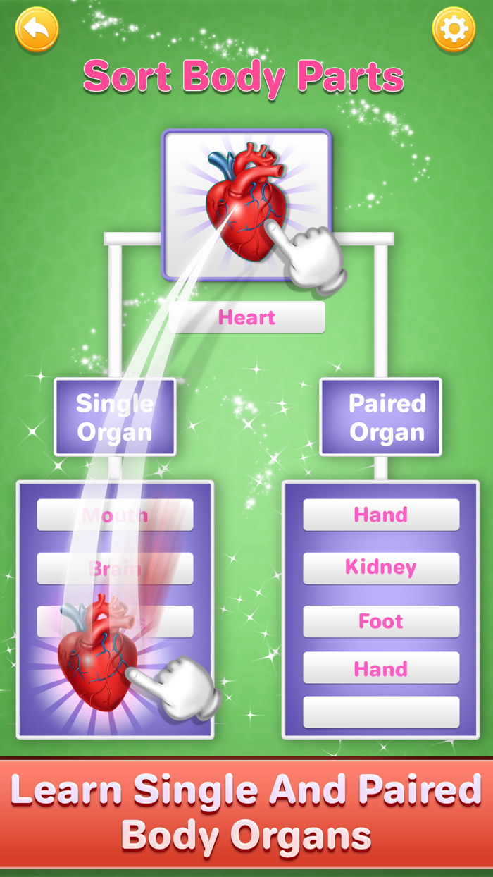 Human Body Parts Kids Learning