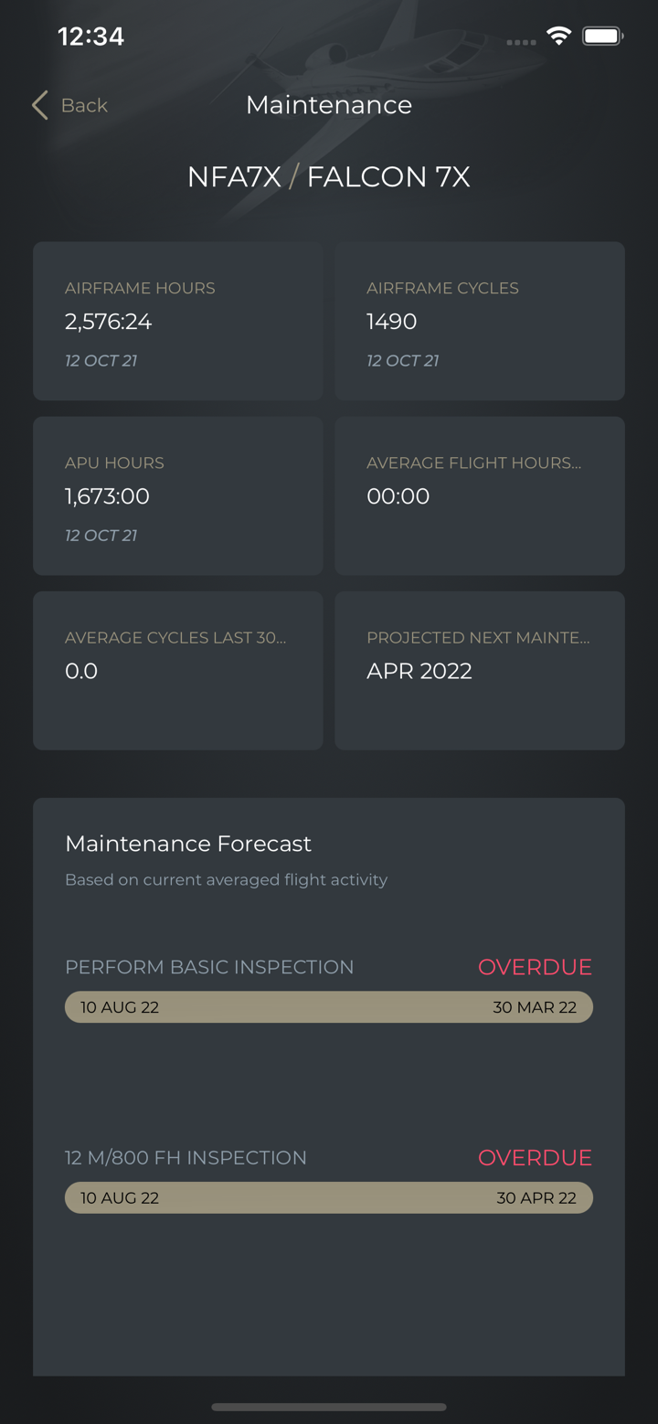 JetManager Digital Aircraft screenshot 3