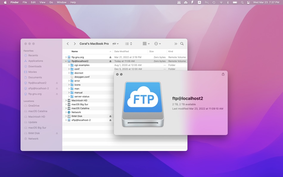#2. FTP Mounter Lite (macOS) 由: 兰桂 吴