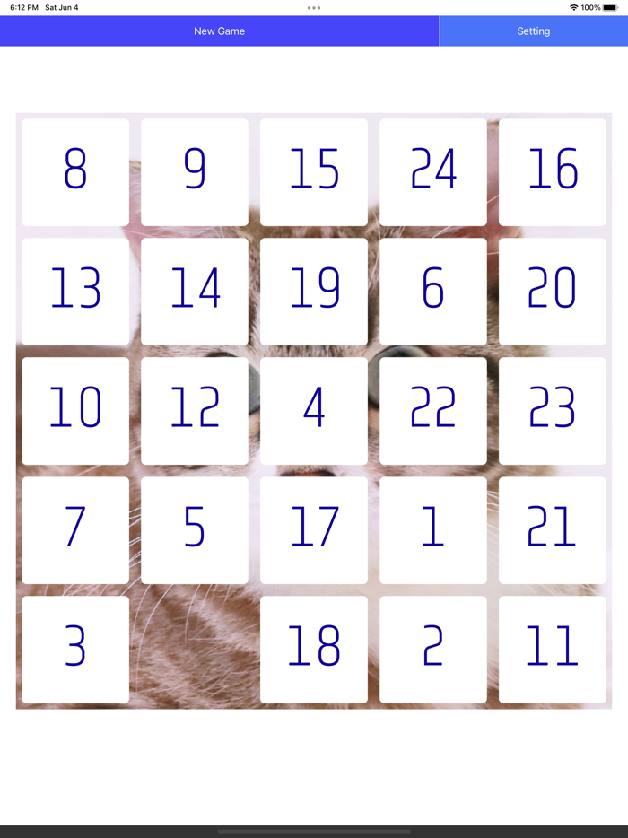 Twenty Five Puzzle