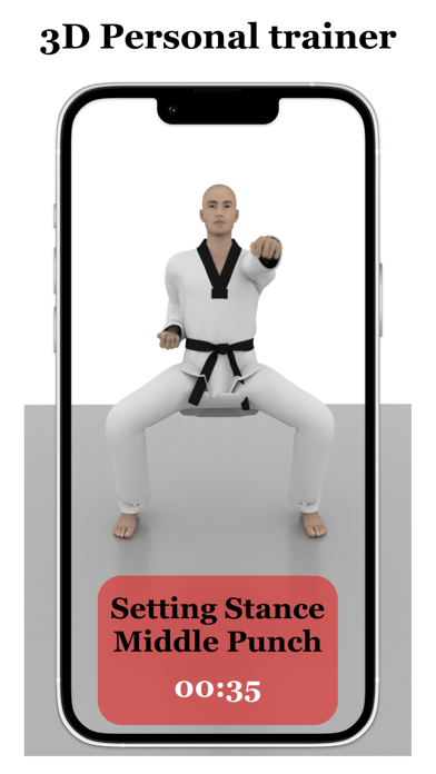 Taekwondo Workout At Home Screenshot
