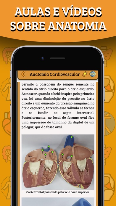 Anatomania - Quiz de Anatomia Screenshot