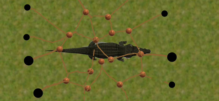 Everglades presented by MAGIC