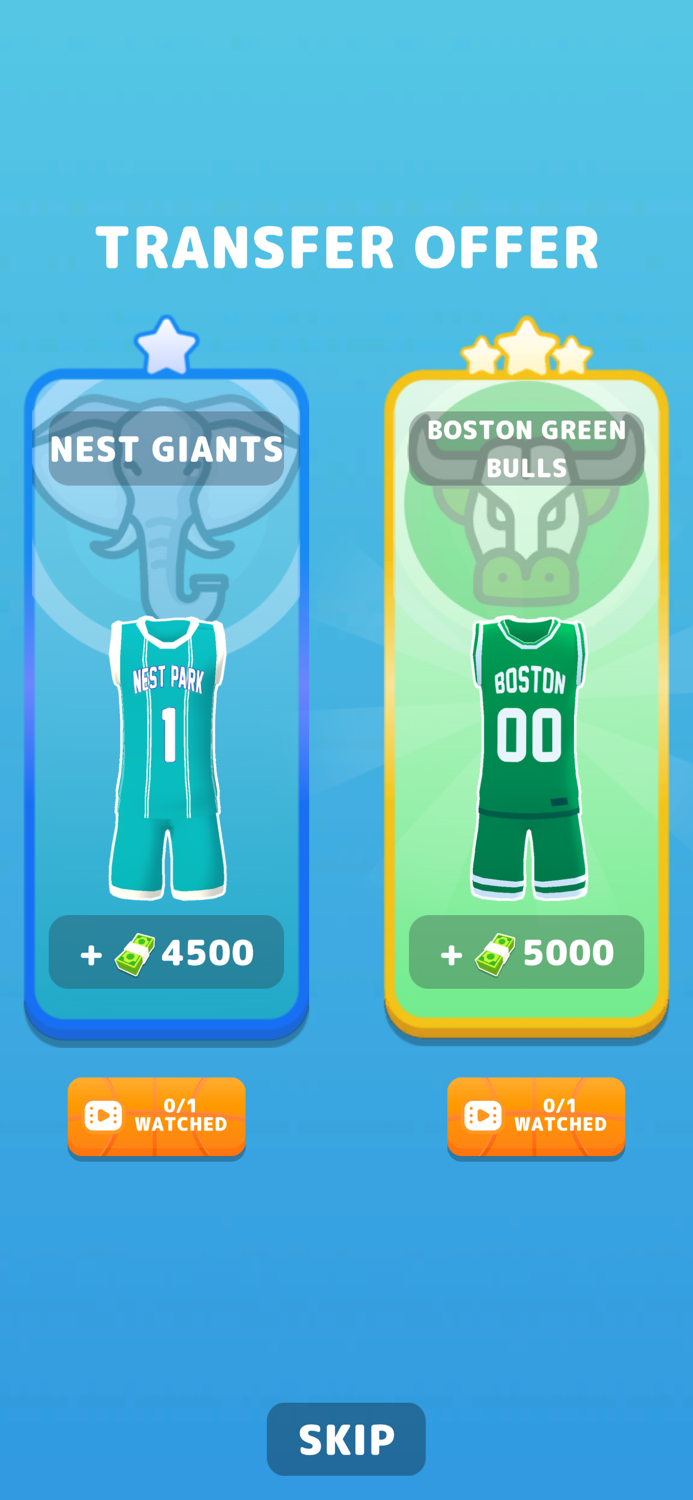 My Basketball Career