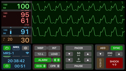 Medical Rescue Sim Pro Screenshot
