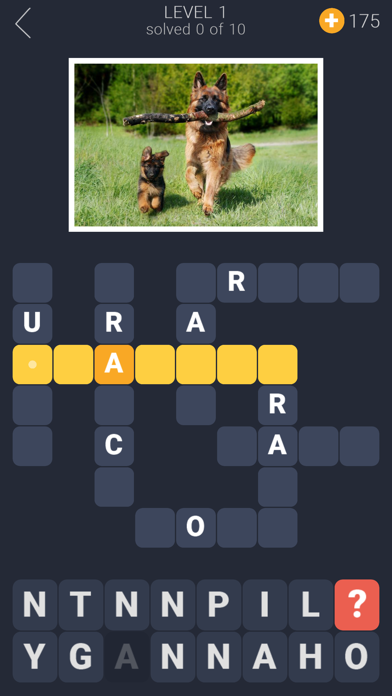 Crosswords for you Screenshot