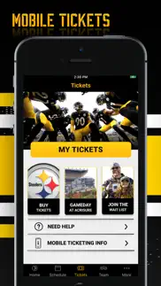 pittsburgh steelers iphone screenshot 4