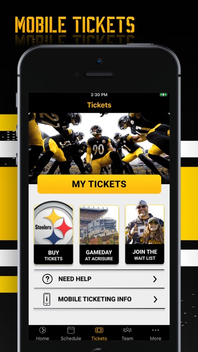 Pittsburgh Steelers Screenshot