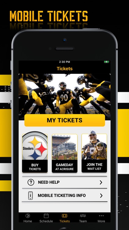 Pittsburgh Steelers screenshot-3