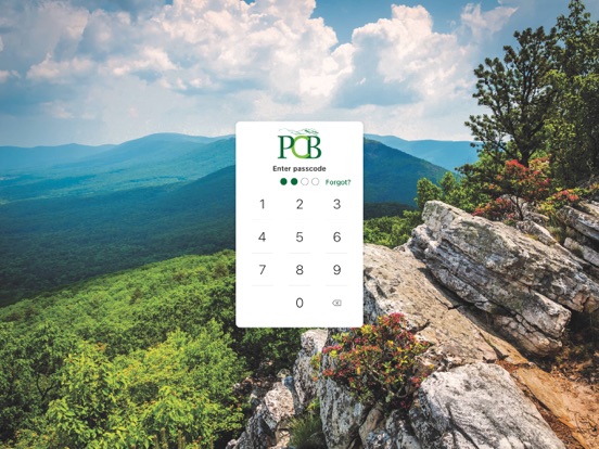 PCB Digital iPad screenshot 2 - Finance app