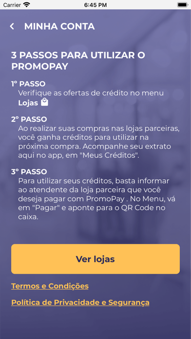 PromoPay Screenshot