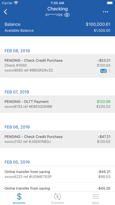 Blue Water FCU Screenshot