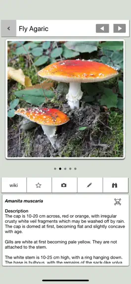 Game screenshot Mushrooms & other Fungi UK apk