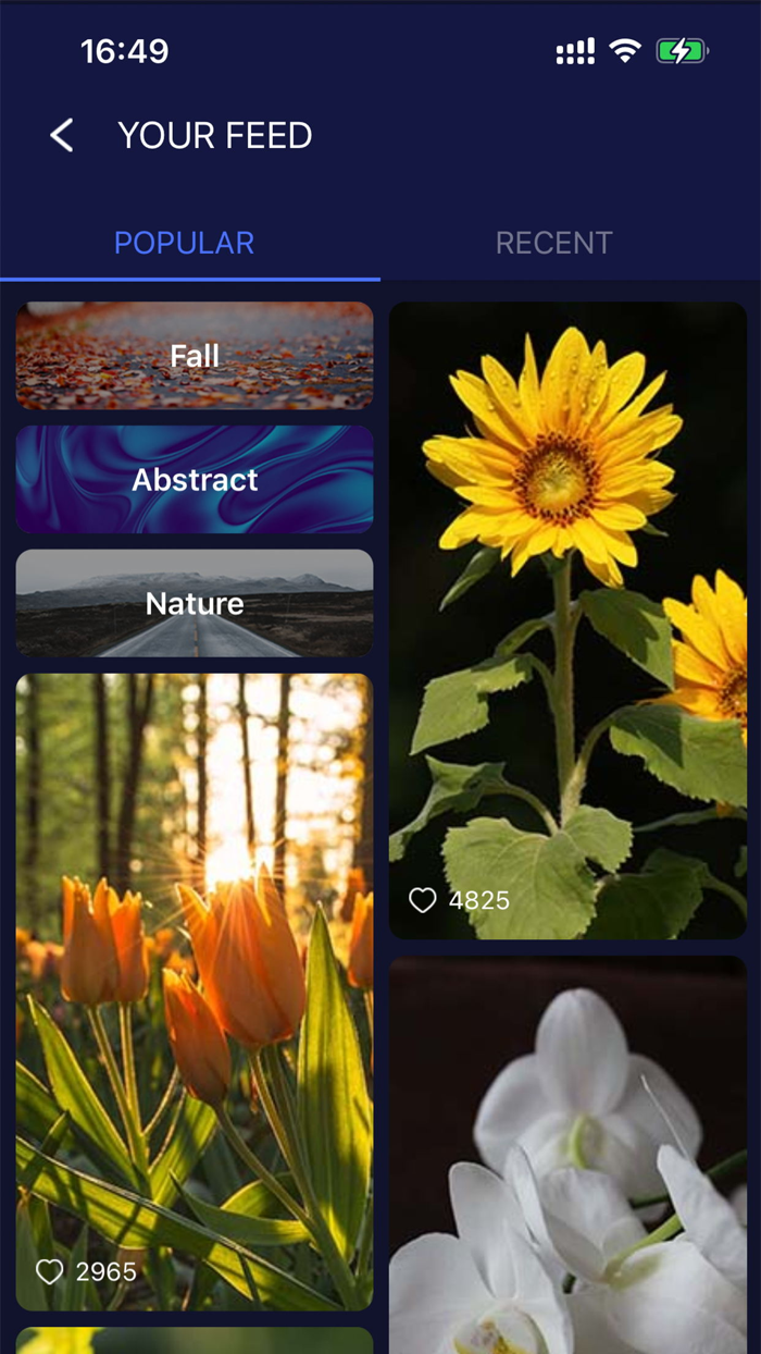 Phone Wallpaper HD