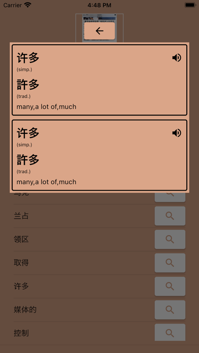 AI Chinese Dictionary Screenshot