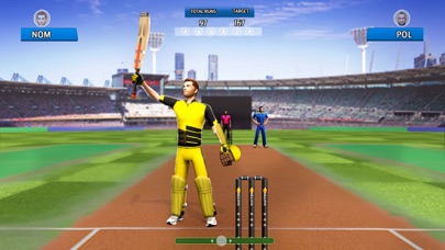 Play World Cricket League Screenshot